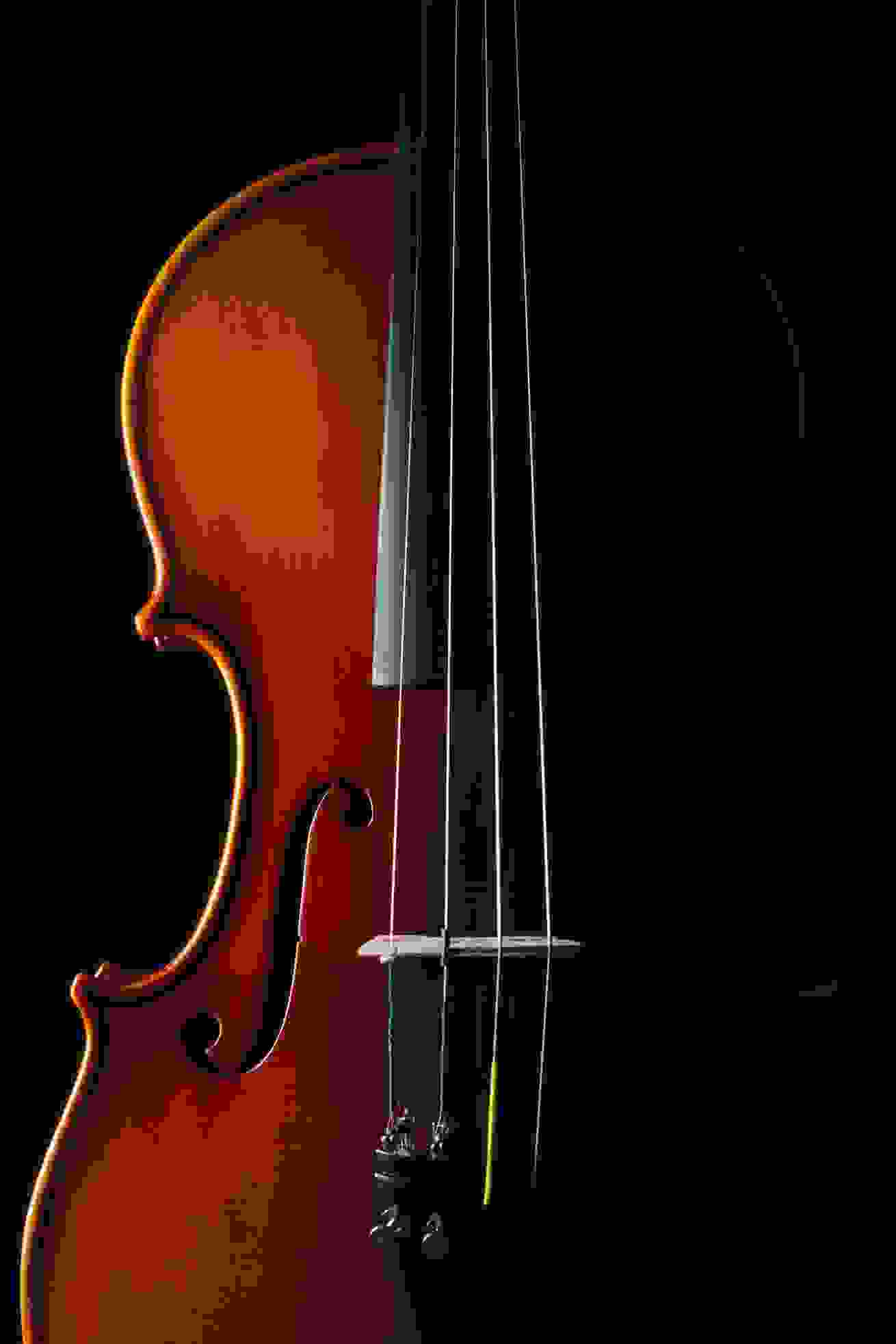 Violin